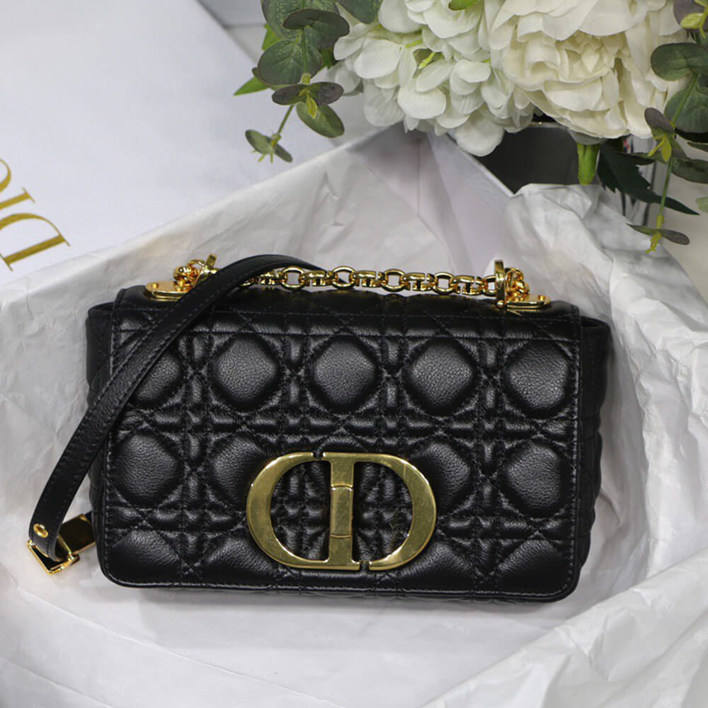 SMALL D10r CARO BAG