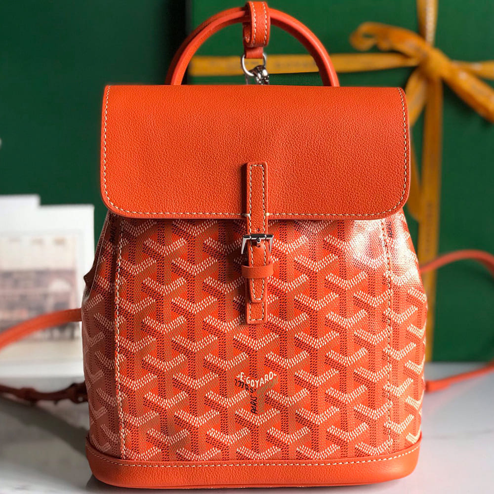 G09ard Alpin Mini Backpack