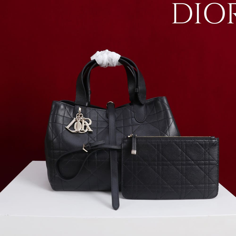 Medium D10r Toujours Bag