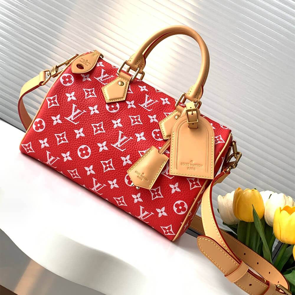 LV Speedy P9 Bandouliere 25(HIGH-END GRADE)