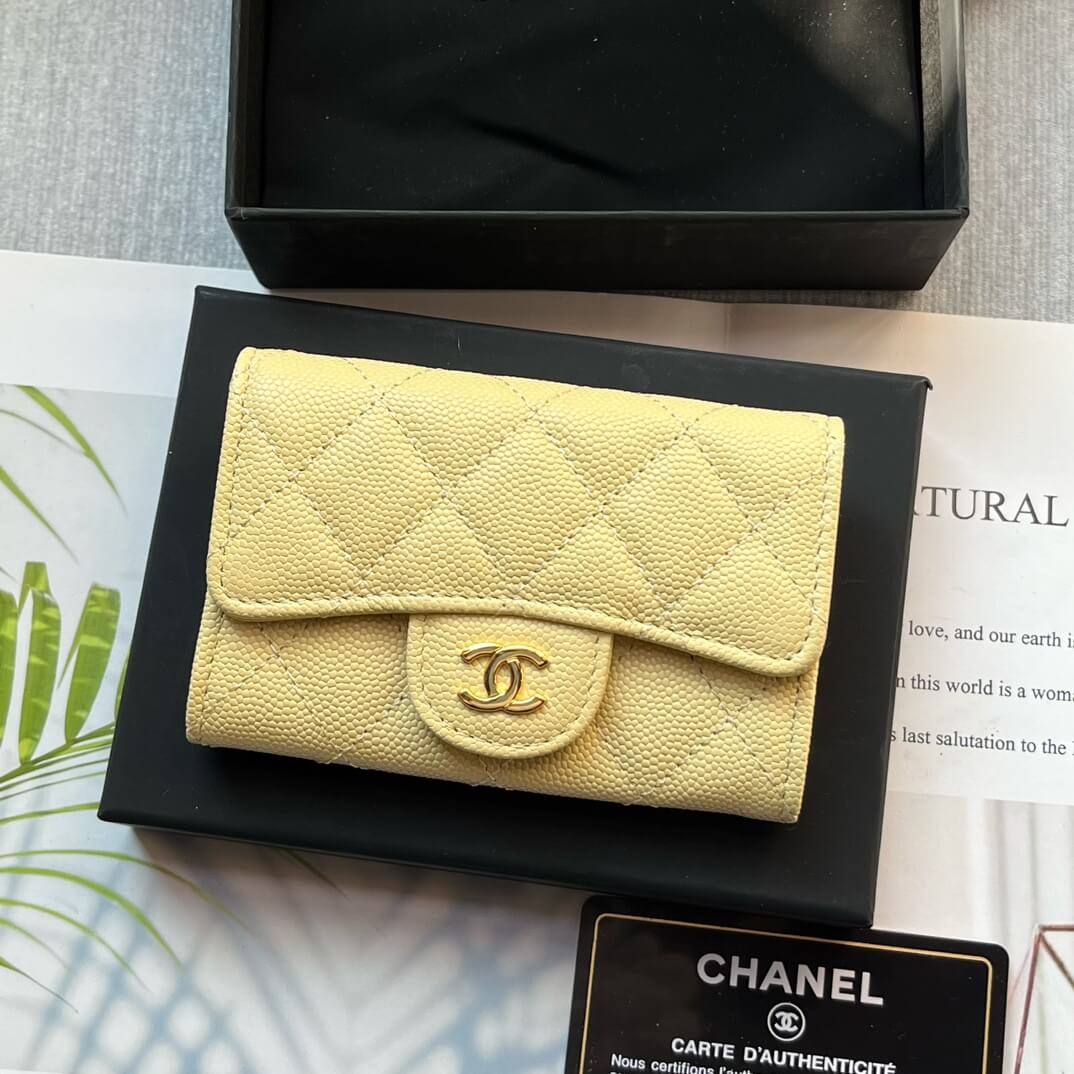 Ch**el CF card holder coin purse
