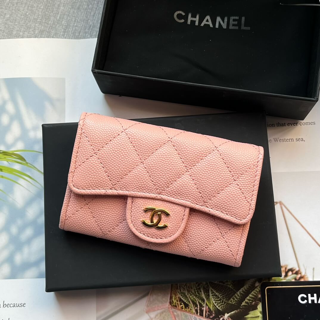 Ch**el CF card holder coin purse