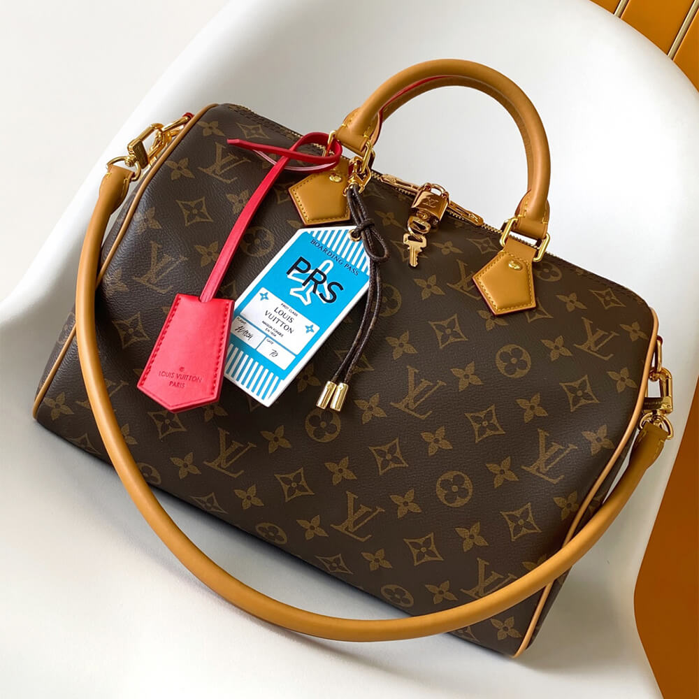 LV Speedy Soft 30 Crafty(HIGH-END GRADE)