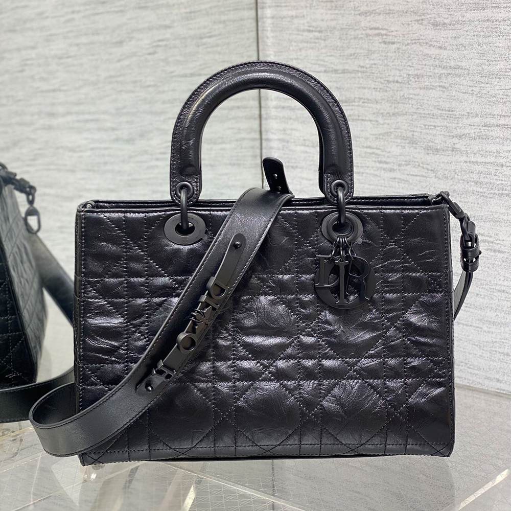 D10r Medium Lady D-Sire Bag(HIGH-END GRADE)