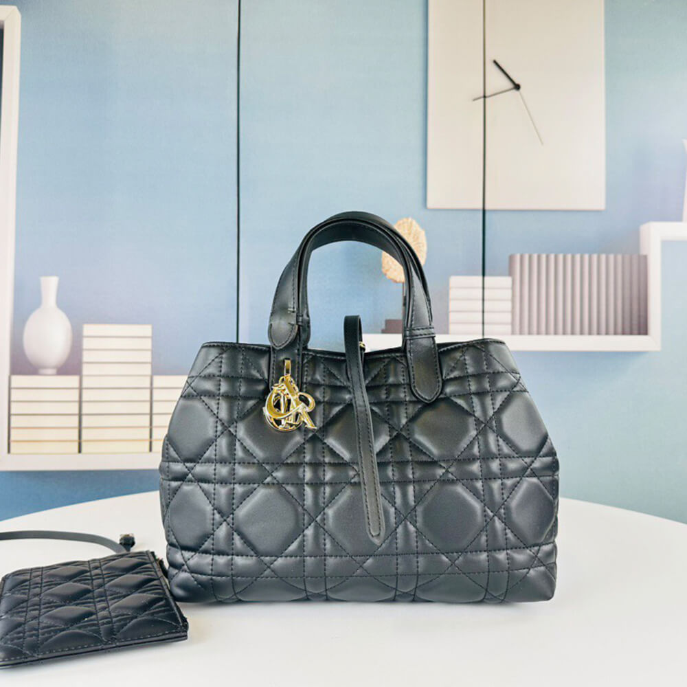 MEDIUM D10r TOUJOURS BAG