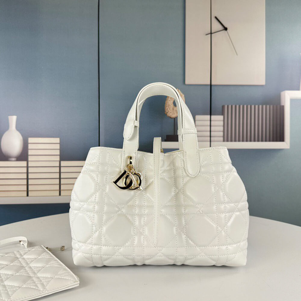 MEDIUM D10r TOUJOURS BAG