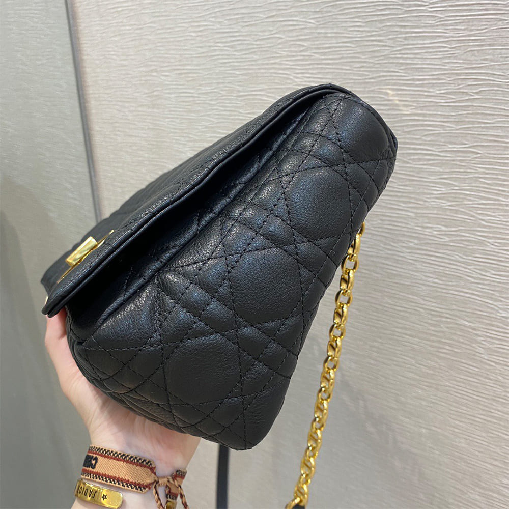 Large D10r Caro Bag(HIGH-END GRADE)