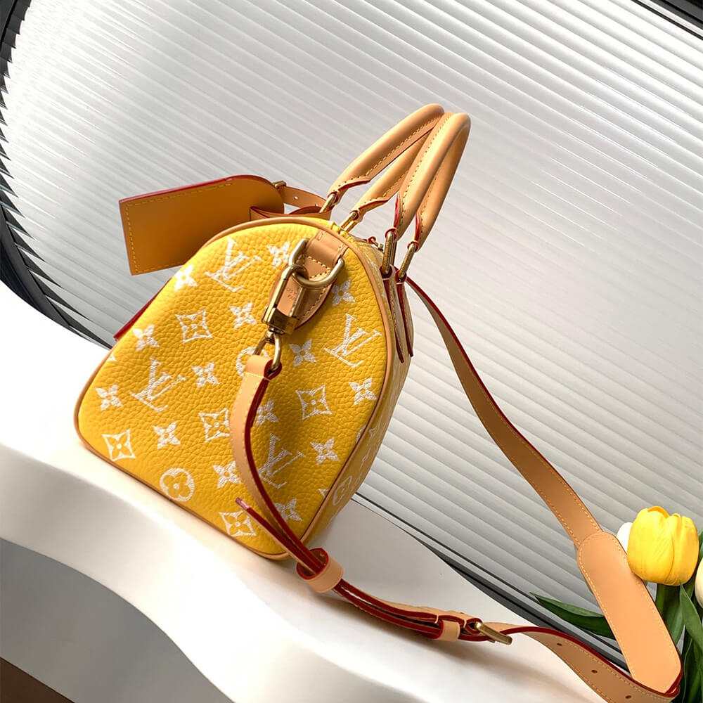 LV Speedy P9 Bandouliere 25(HIGH-END GRADE)