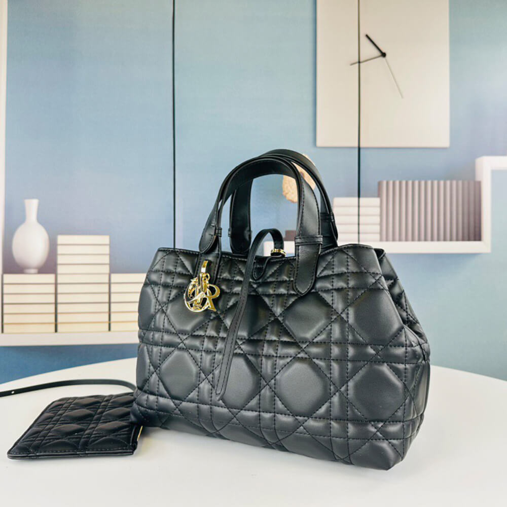 MEDIUM D10r TOUJOURS BAG