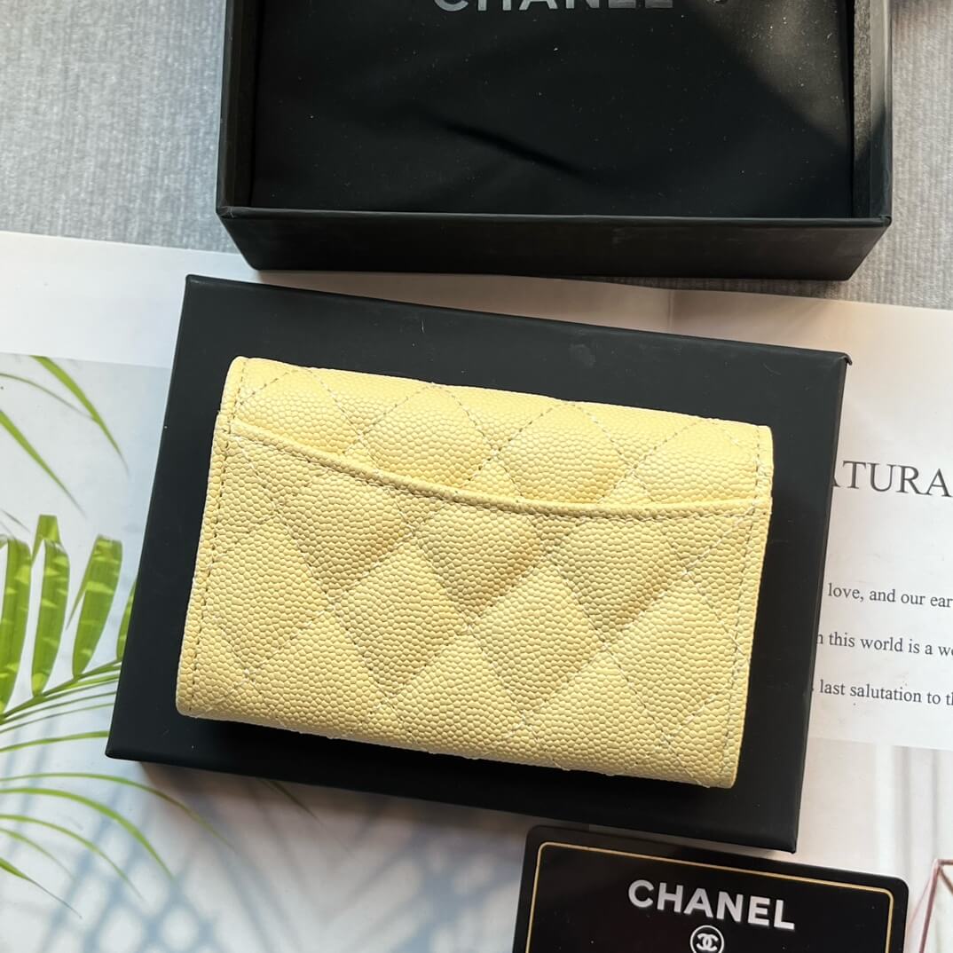 Ch**el CF card holder coin purse