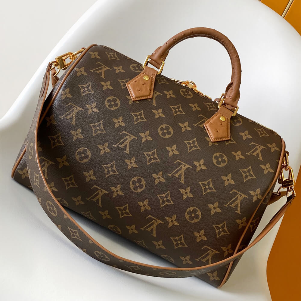 LV Speedy Soft 30 Boho(HIGH-END GRADE)