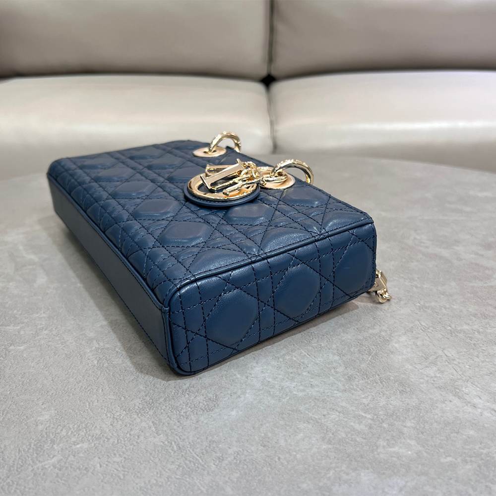 D10r Medium Lady D-Joy bag(HIGH-END GRADE)