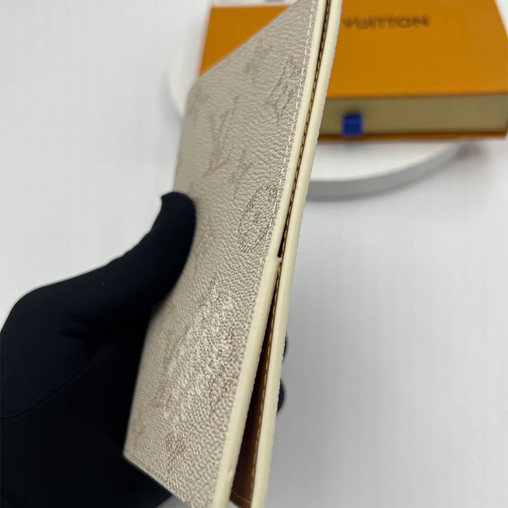 LV Passport Cover