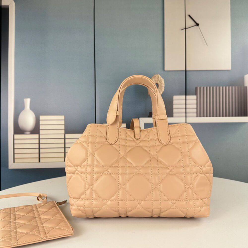 MEDIUM D10r TOUJOURS BAG