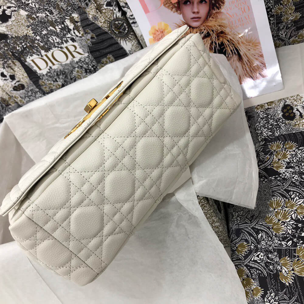 MEDIUM D10r CARO BAG