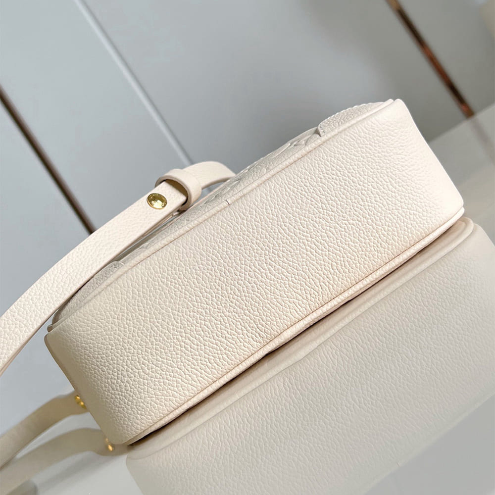 LV Tiny Camera Bag