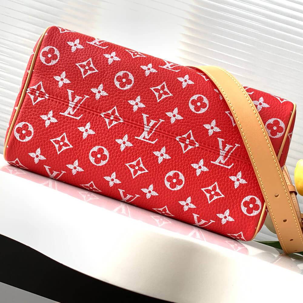 LV Speedy P9 Bandouliere 25(HIGH-END GRADE)