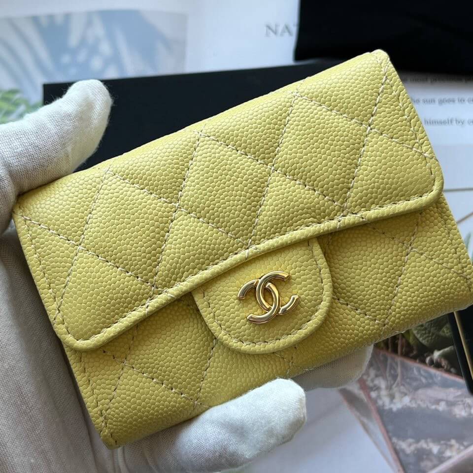 Ch**el CF card holder coin purse