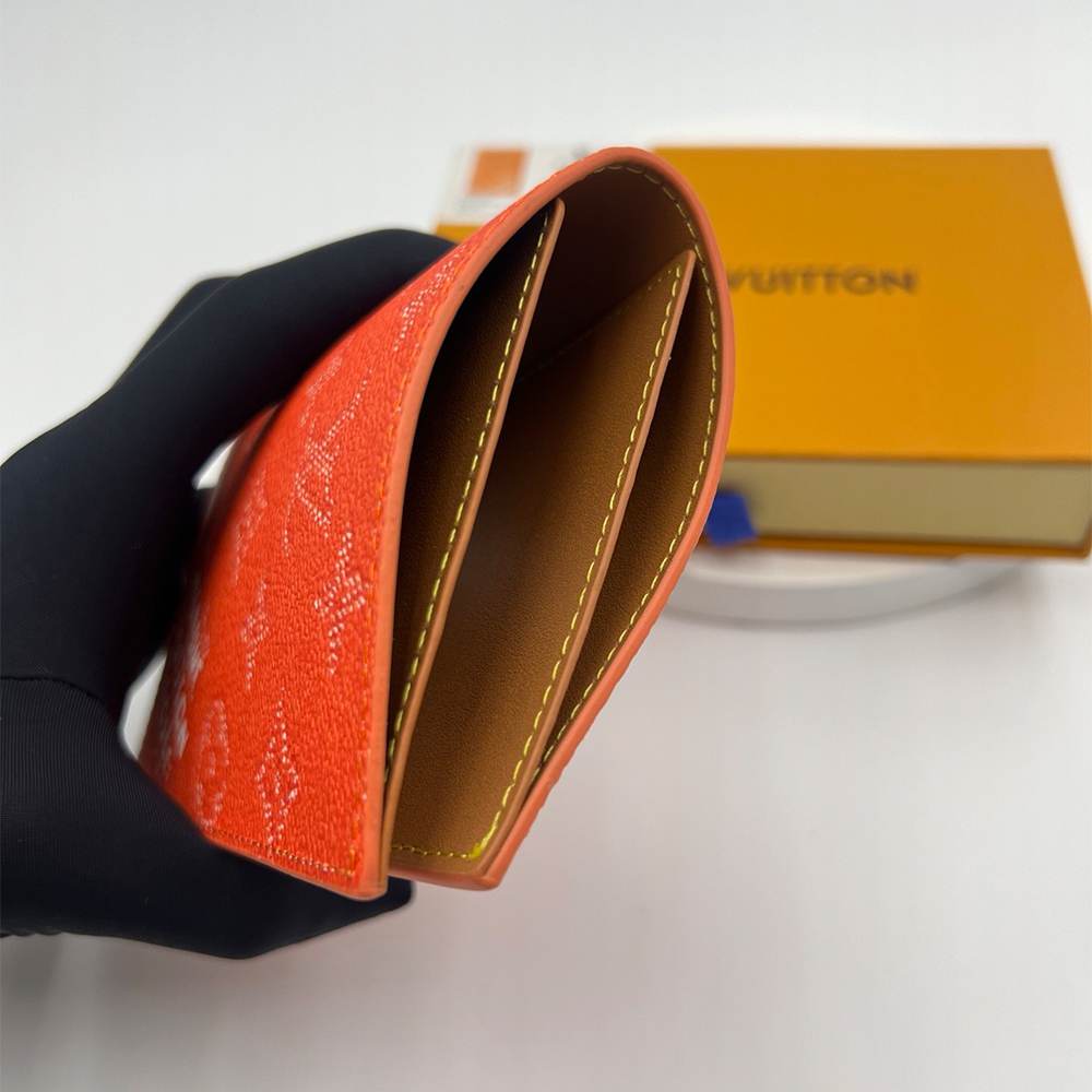 LV Passport Cover