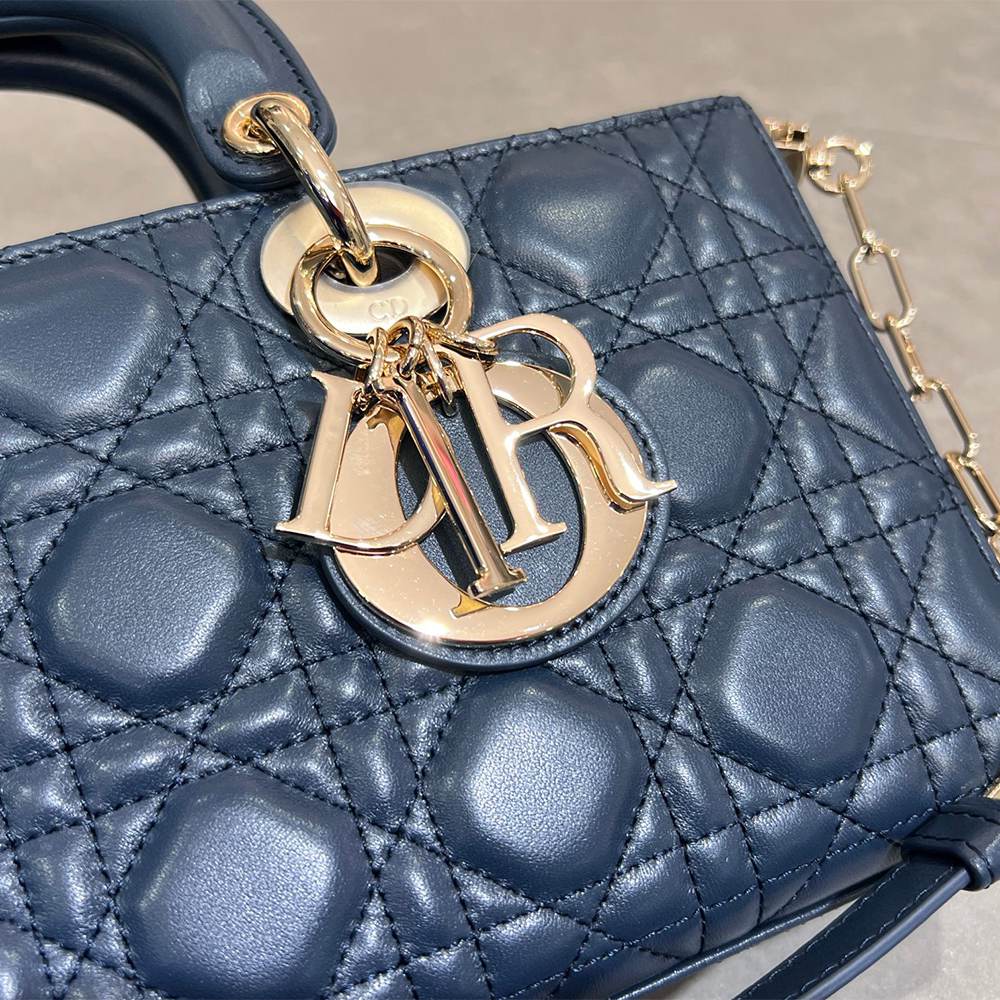 D10r Medium Lady D-Joy bag(HIGH-END GRADE)