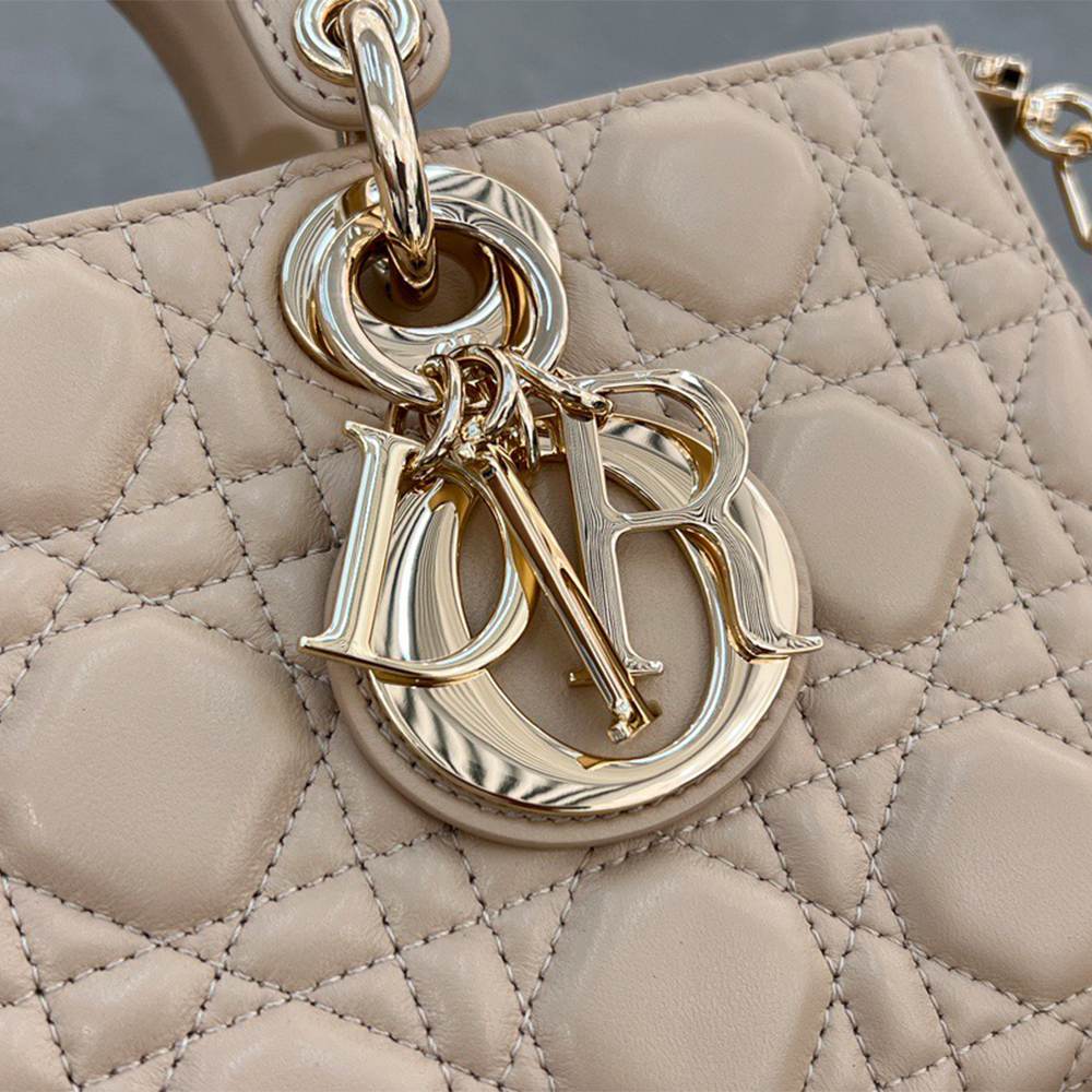 D10r Medium Lady D-Joy bag(HIGH-END GRADE)