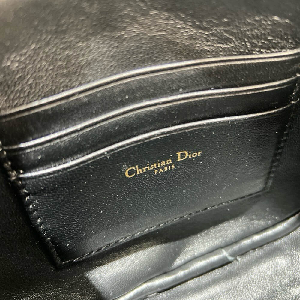 D10rstar Callisto bag