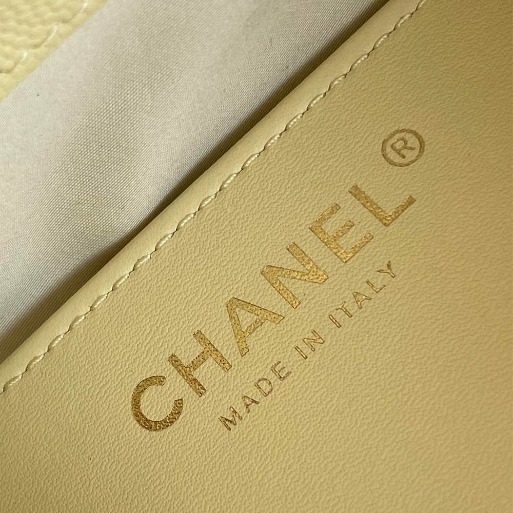 Ch**el 25 Mini Handbag(HIGH-END GRADE)