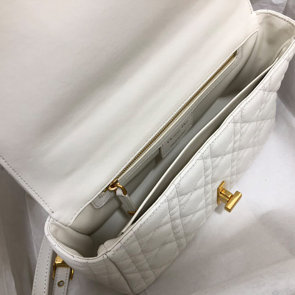 MEDIUM D10r CARO BAG