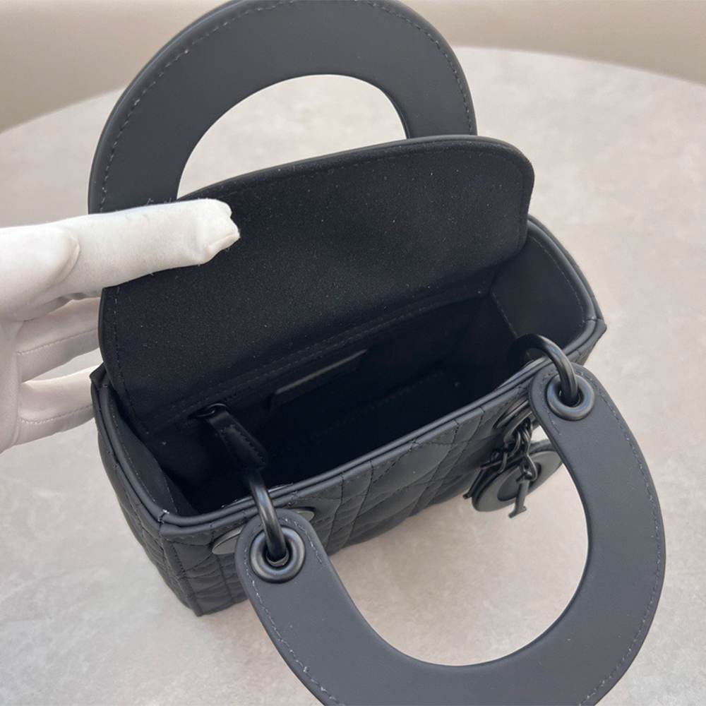Mini Lady D10r bag(HIGH-END GRADE)