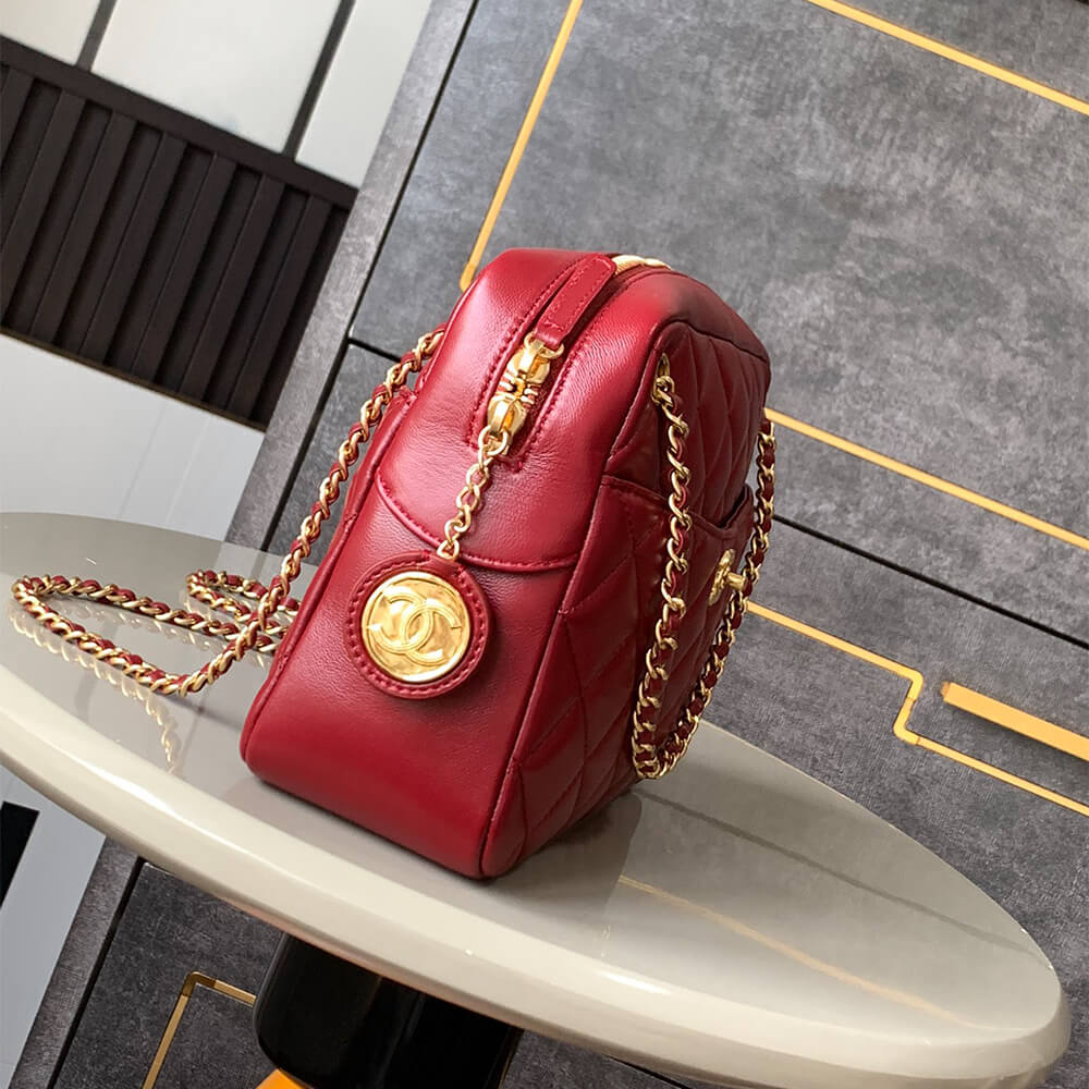 Ch**el large Camera Case