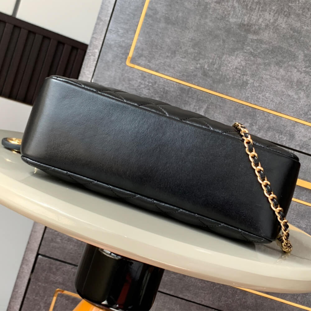 Ch**el large Camera Case
