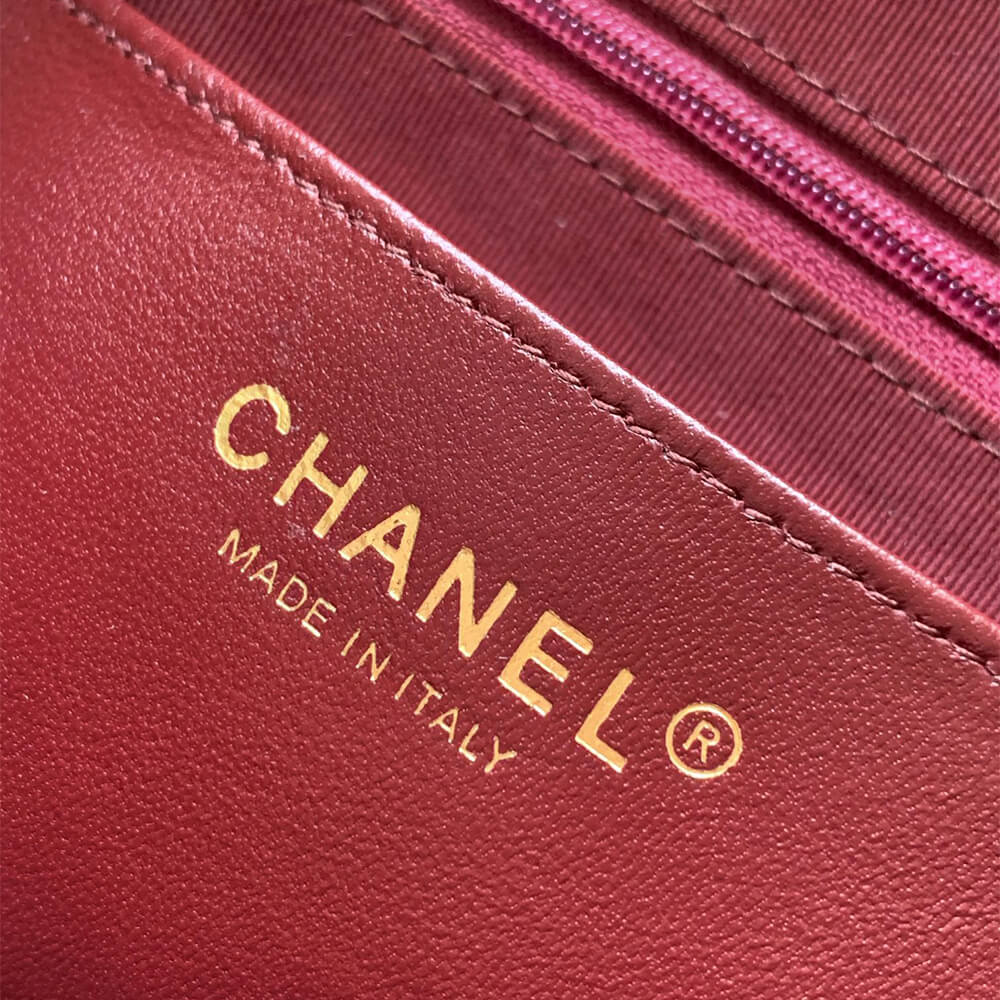 Ch**el large Camera Case